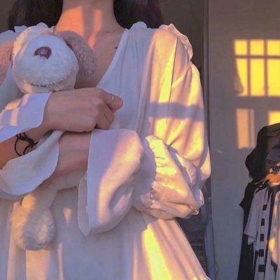 小狮王守护队:狮王再起