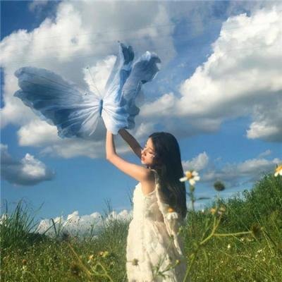 小白旗的风波