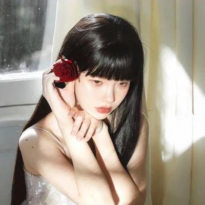红狐